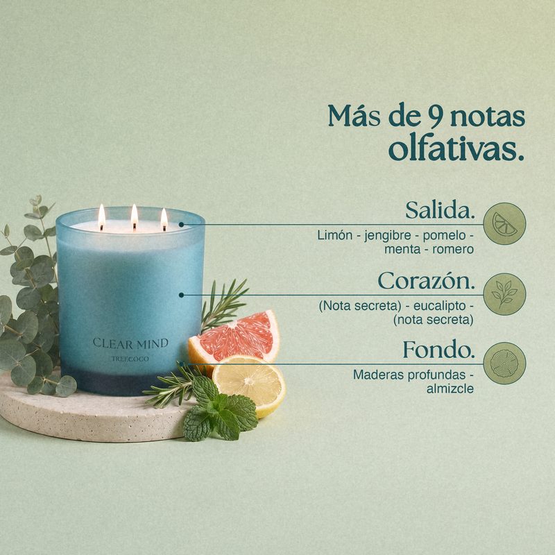 Vela con sus notas olfativas