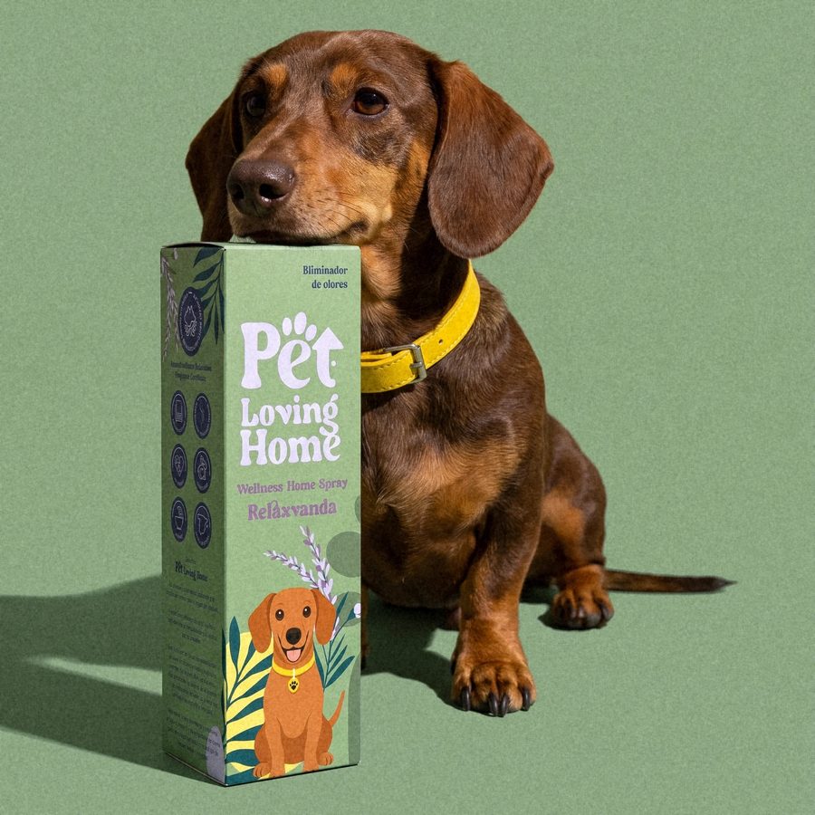 Perro salchicha apoyando la cabeza sobre el estuche verde de Pet Loving Home